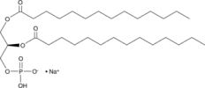 1,2-Dimyristoyl-sn-glycero-3-phosphate sodium salt