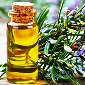 Rosemary oil