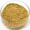 Yeast extract powder