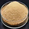 Zinc Enriched Yeast